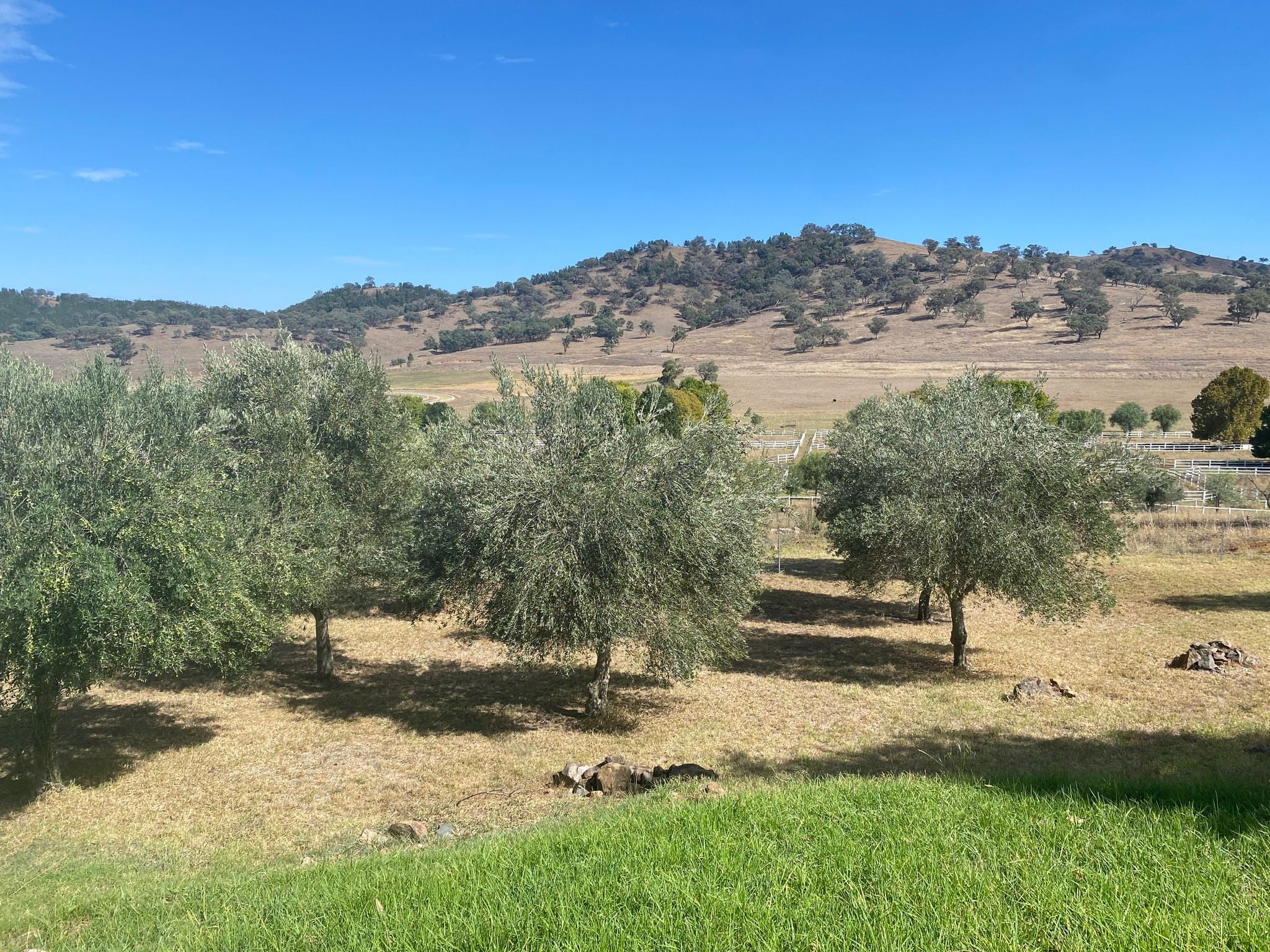 Dubbo Zoo 2025 Image -67de049b9b752